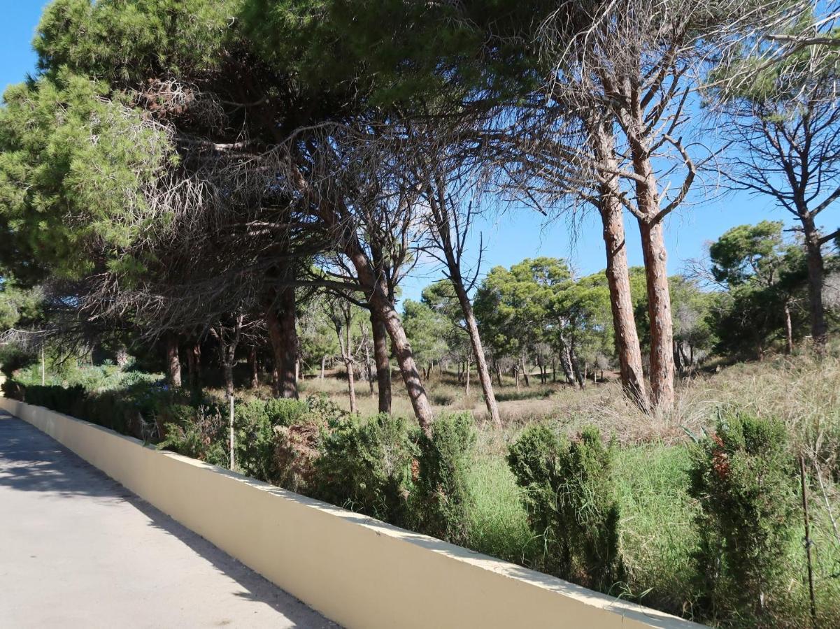 Appartement Emilia De La Playa à La Mata  Extérieur photo